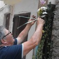 Fiori, luci e profumi nei vicoli di Terlizzi Vecchia