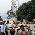 L'icona della Madonna è tornata a Terlizzi, eccola davanti al Carro/ DIRETTA FOTOGRAFICA