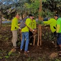 Giornata Nazionale degli alberi 2024, gli eventi proposti a Terlizzi