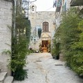 Terlizzi si colora di fiori: al via i festeggiamenti per la Madonna del Rosario