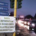 Agricoltori in protesta sulla SP 231: tra le contestazioni l’ingresso di olio tunisino al porto di Bari