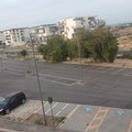 Motor Show nell’area parcheggio Chicoli: Legambiente Terlizzi dice no