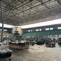 Mercato dei fiori, i blocchi stradali frenano gli affari
