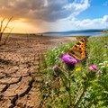 Cambiamenti climatici e biodiversità, a Terlizzi un incontro aperto alla cittadinanza