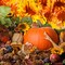 Alimenti d’autunno: un pieno di energia per prepararci all’inverno