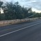 Vigile del Fuoco investito da un'auto pirata sulla strada Terlizzi-Molfetta