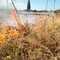 Principio d'incendio tra le sterpaglie in viale Del Lilium
