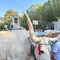 Arrivata a Terlizzi in processione l’icona di Maria Santissima di Sovereto – LE FOTO