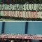Il countdown di "Glorie dello Sport Terlizzese" entra nel vivo