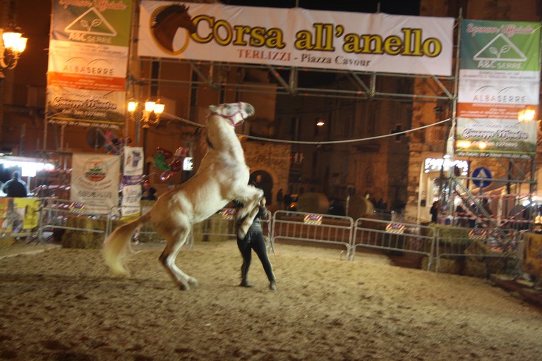 Corsa allanello JPG. <span>Foto Cosma Cacciapaglia</span>