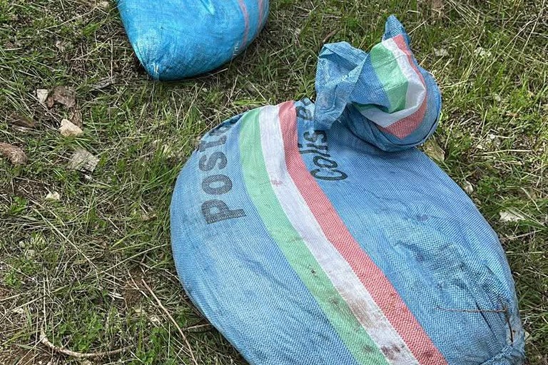 Le olive recuperate dalla Metronotte