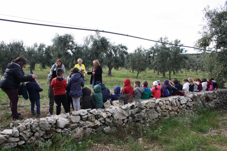 Festa dellalbero nellazienda Colle Optimo JPG. <span>Foto Cosma Cacciapaglia</span>