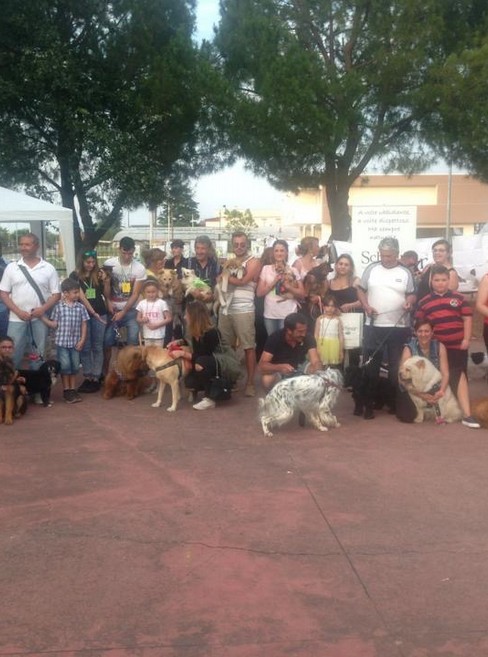 Manifestazione canina