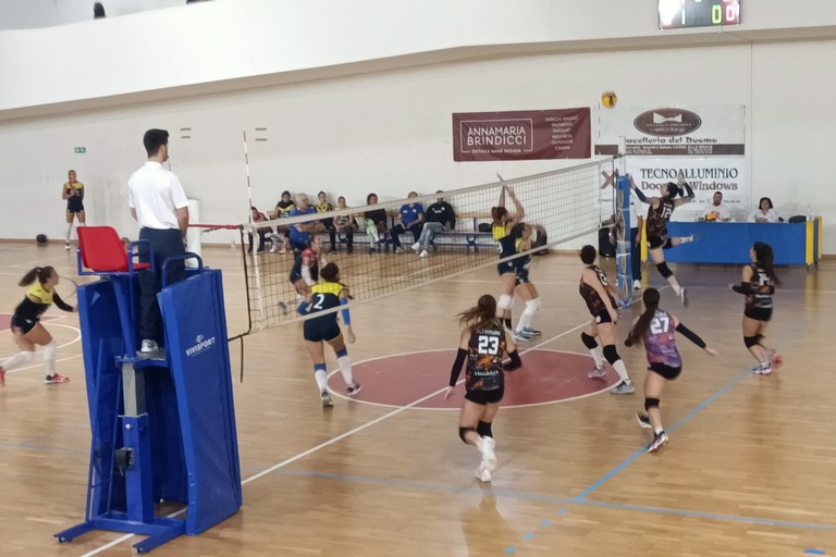 Zest Terlizzi-Olympia Orta Nova 3-0