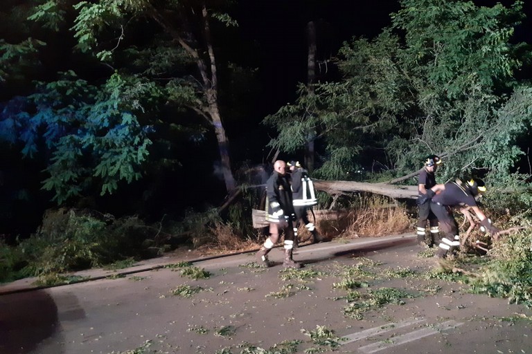 Albero caduto sulla strada per Mariotto