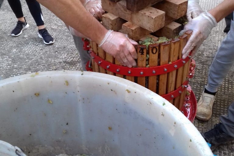 Tempo di vendemmia al 