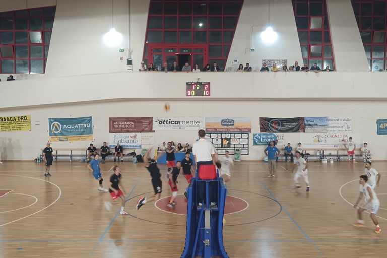 Scuola di Pallavolo Terlizzi. <span>Foto Francesco Pitto'</span>