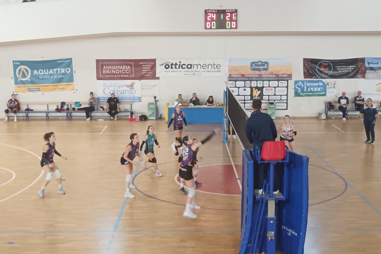 Zest Terlizzi-Dinamo Cab Molfetta 3-0. <span>Foto Francesco Pitto'</span>