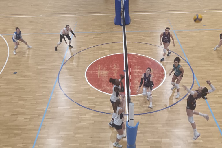 Zest Terlizzi-Academy Volley Gioia 3-2. <span>Foto Francesco Pitto'</span>
