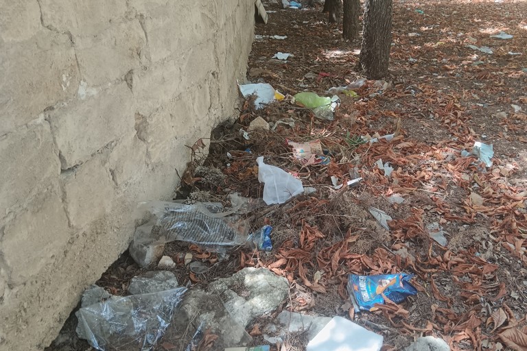La pineta di viale della Resistenza è una discarica a cielo aperto. <span>Foto Francesco Pitto'</span>