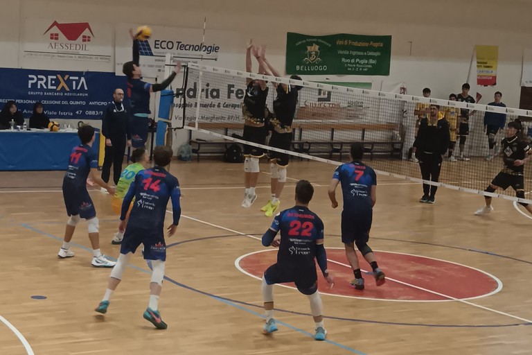 Scuola di Pallavolo Terlizzi. <span>Foto Francesco Pitto'</span>