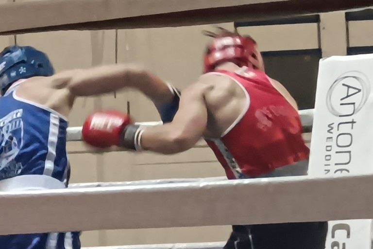 La nobile arte della boxe. <span>Foto Francesco Pitto'</span>