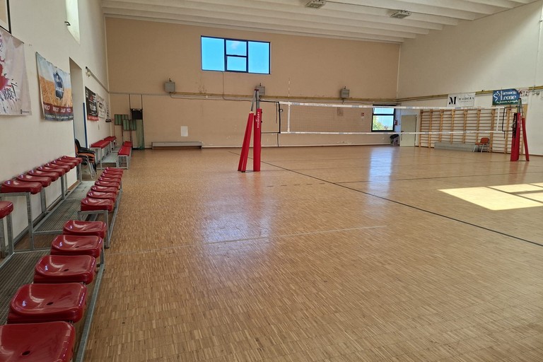 Tribunetta palestra
