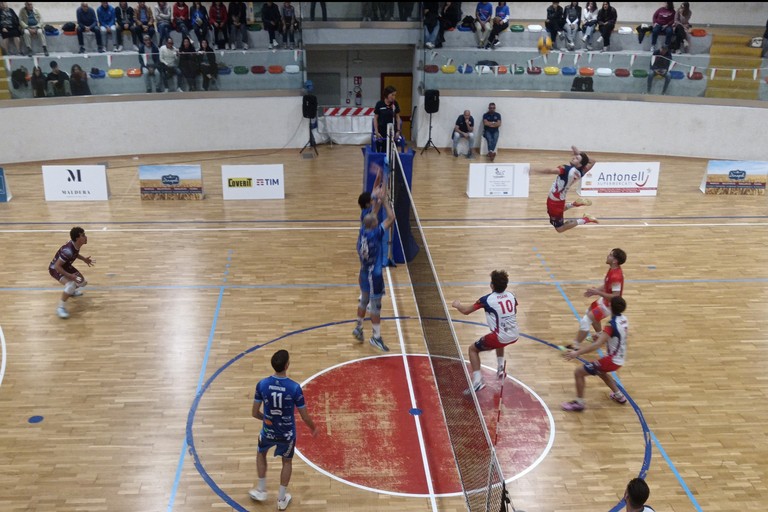 Scuola di Pallavolo Terlizzi. <span>Foto Francesco Pitto'</span>