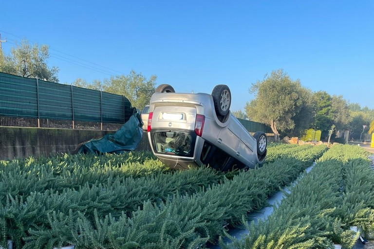 Incidente Terlizzi