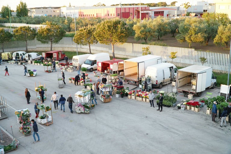 Riapertura Mercato dei Fiori