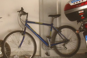 bicicletta. <span>Foto Cosma Cacciapaglia</span>