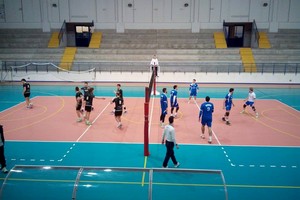 Pallavolo