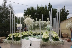 carro floreale