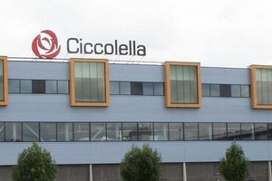 Ciccolella