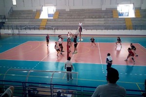 Pallavolo