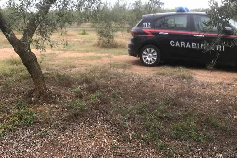 L'intervento dei Carabinieri