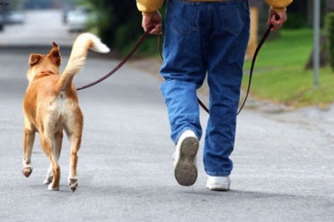 Passeggio col cane