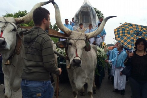 processione sovereto 2016