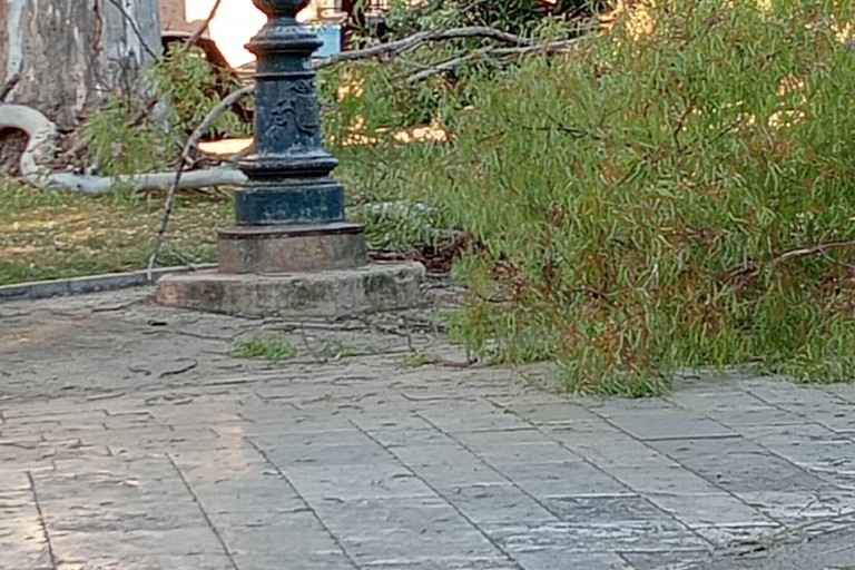 Ramo spezzato in villa viale Roma