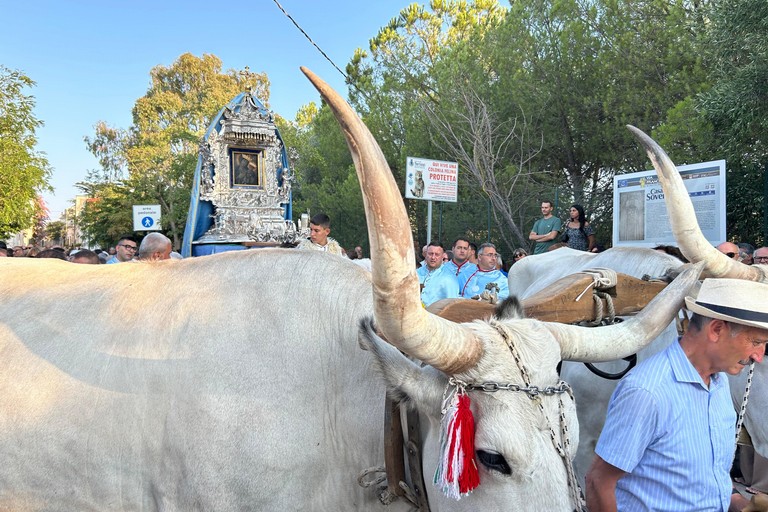 Ritorno della Vergine Nera da Sovereto a Terlizzi