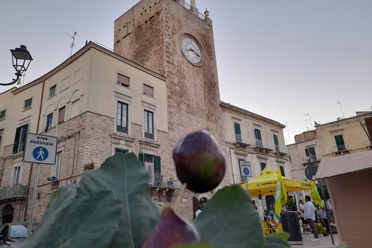 Sagra del fiorone. <span>Foto Cosma Cacciapaglia</span>
