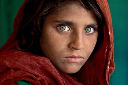 sharbat gula
