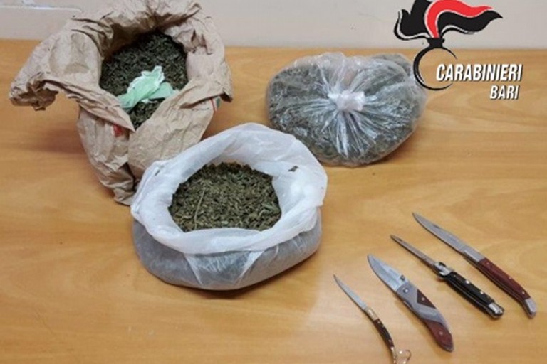 La droga e i coltelli sequestrati dai Carabinieri