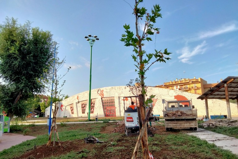 Palafiori. <span>Foto Cosma Cacciapaglia</span>