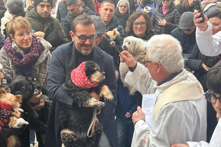 Benedizione animali. <span>Foto Paolo Alberto Malerba</span>