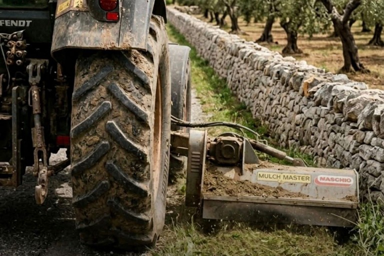 Contrasto alla Xylella. <span>Foto Paolo Alberto Malerba</span>
