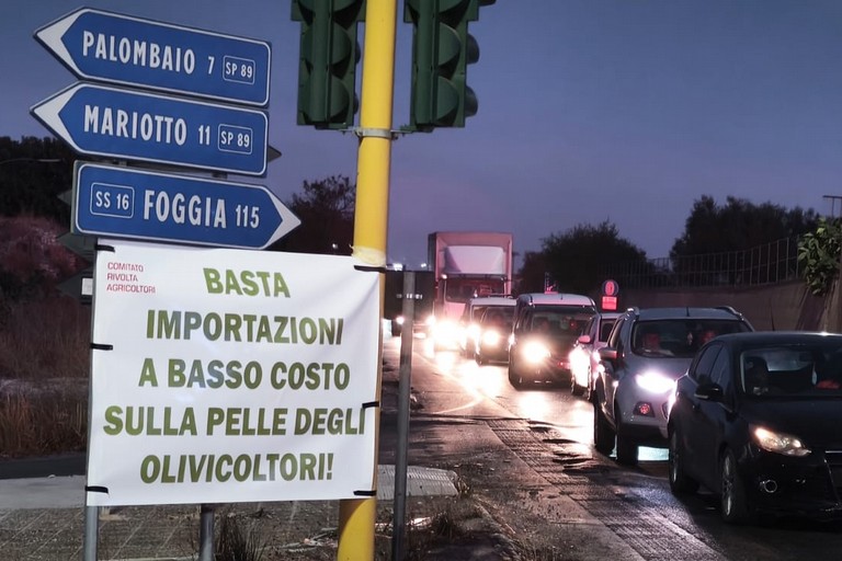 Protesta agricoltori. <span>Foto Paolo Alberto Malerba</span>